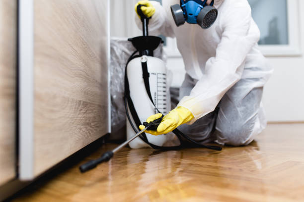 Professional Pest Control in Clearfield, UT