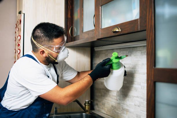 Best Pest Prevention Services  in Clearfield, UT