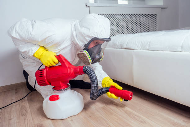 Best Local Pest Control Services  in Clearfield, UT