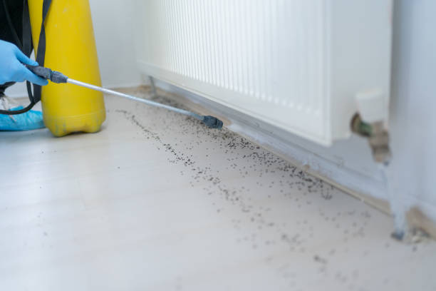 Best Affordable Pest Control Services  in Clearfield, UT