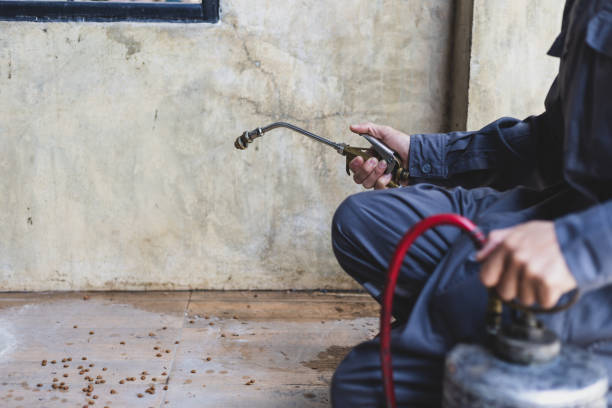 Best Termite Control Services  in Clearfield, UT